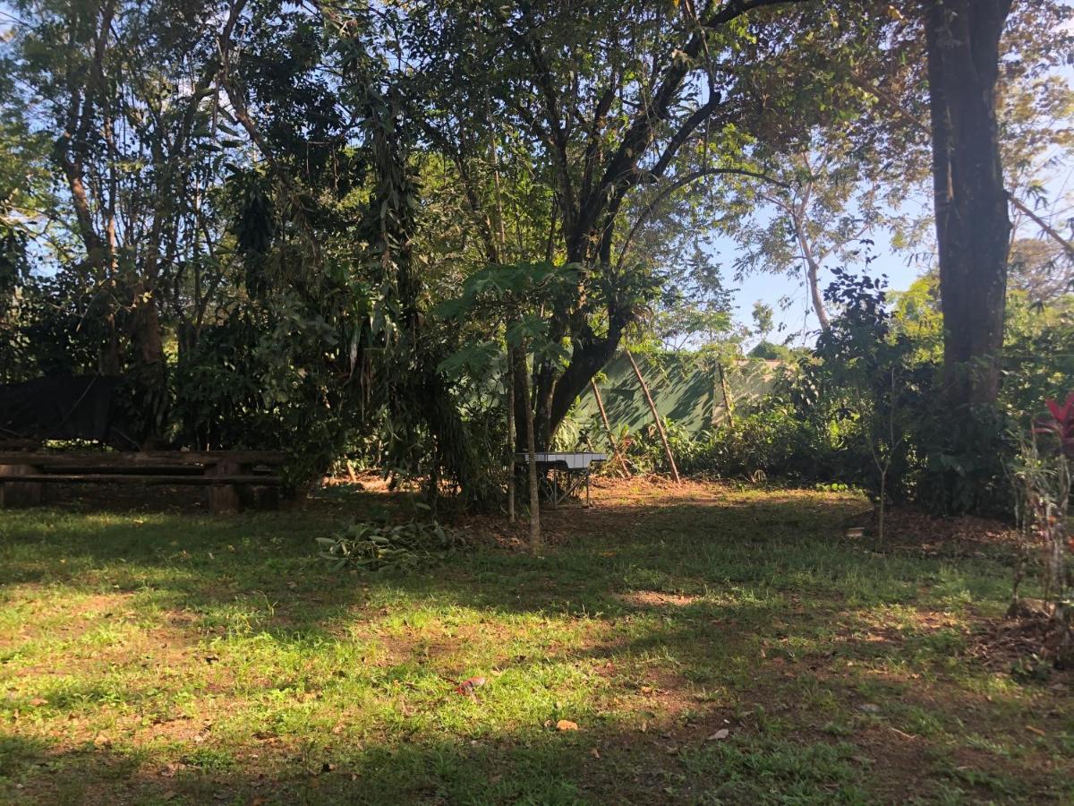 Chosa Manglar Suites & Cabins Puerto Jiménez Zewnętrze zdjęcie