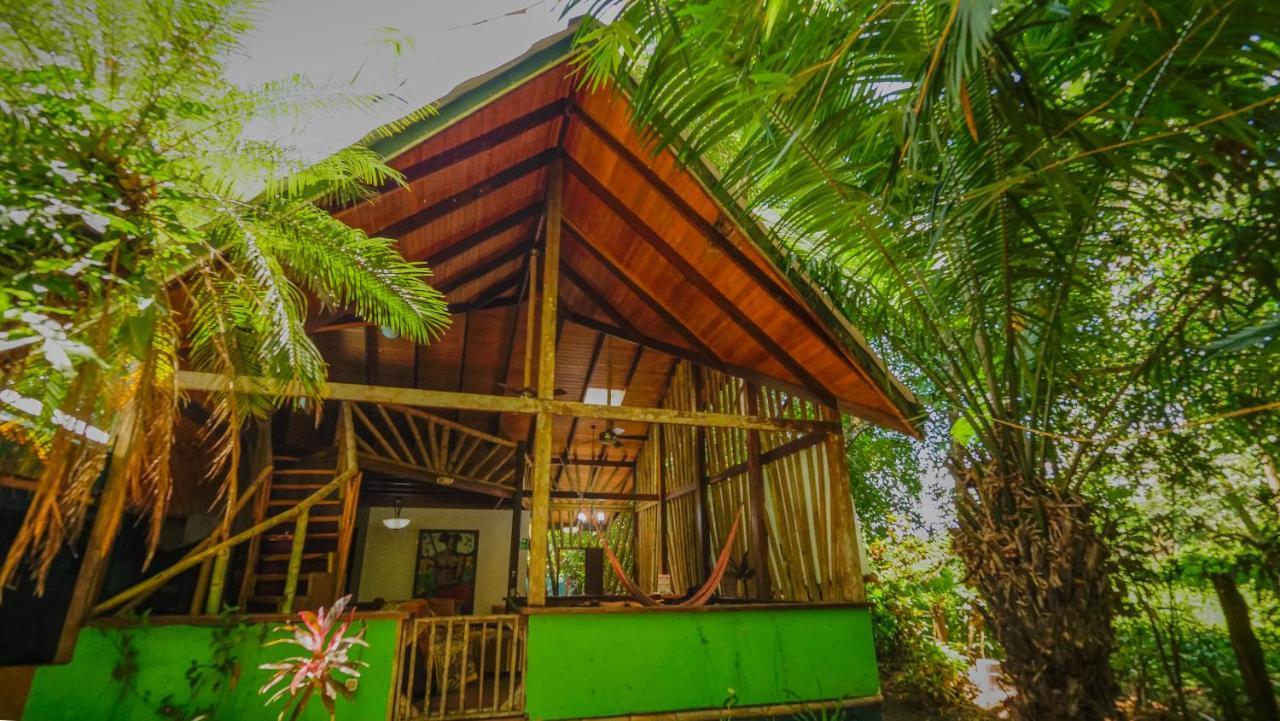 Chosa Manglar Suites & Cabins Puerto Jiménez Zewnętrze zdjęcie