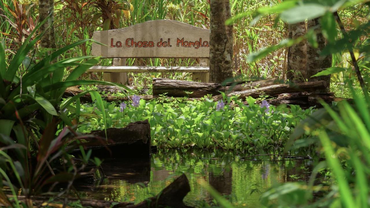 Chosa Manglar Suites & Cabins Puerto Jiménez Zewnętrze zdjęcie