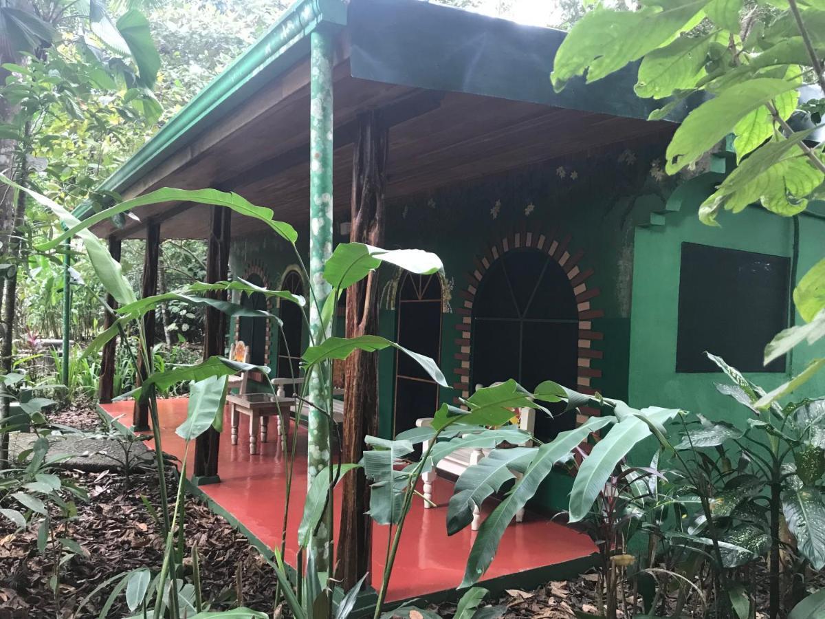 Chosa Manglar Suites & Cabins Puerto Jiménez Zewnętrze zdjęcie